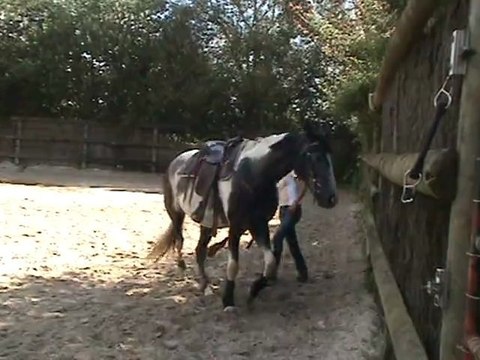 Liberté - 1err déplacements latéraux