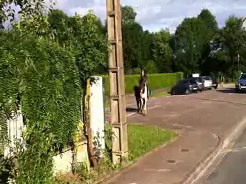 udson et manon