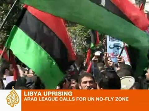 Arab League calls for a no-fly zone over Libya