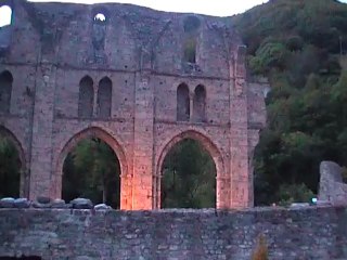 CONTRASTE : UN LIMONAIRE A L'ABBAYE DE SAINT JEAN D'AULPS (Hte Savoie)