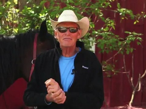 Horseback Riding Ottawa - What is horse breaking?