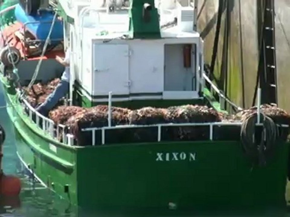 AMBIENTE Puerto de Candás, Carreño, Asturias