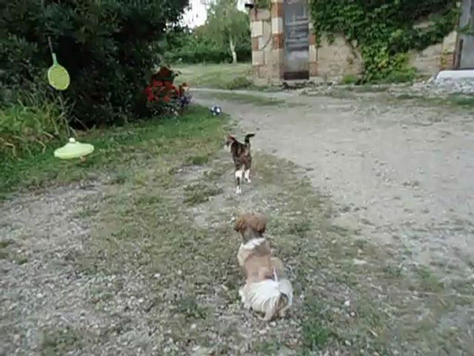 Amours interdits