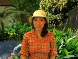 Heated Bucket 5 Gal. Flat Back Heated Bucket Review