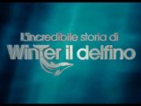[FILM COMPLETO] WINTER IL DELFINO TRAILER ITA ITALIANO