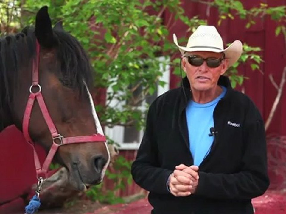 Horseback Riding Ottawa - What is the importance of horseback riding lessons?