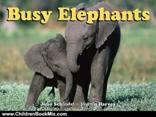 Children Book Review: Busy Elephants (A Busy Book) by John Schindel, Martin Harvey