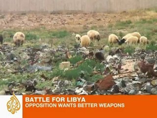 Libya opposition needs better weapons