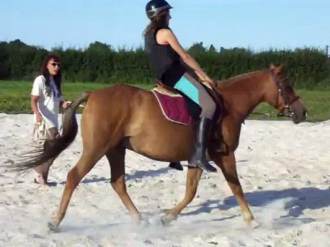 Petits exercices à effectuer par Maréva sur le poney.......