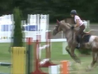 schooling napierville 2012