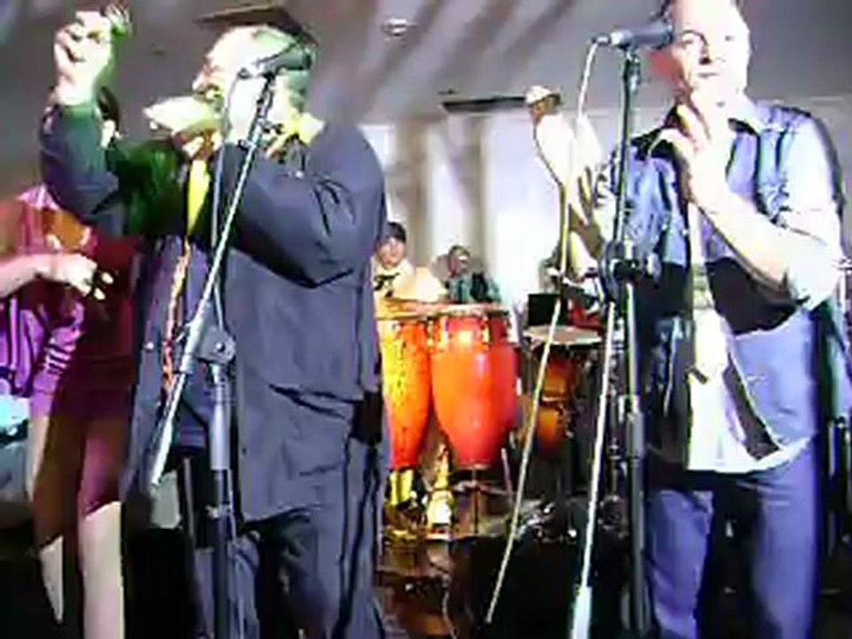 C-DORADO