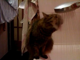 Забавный способ утолить жажду