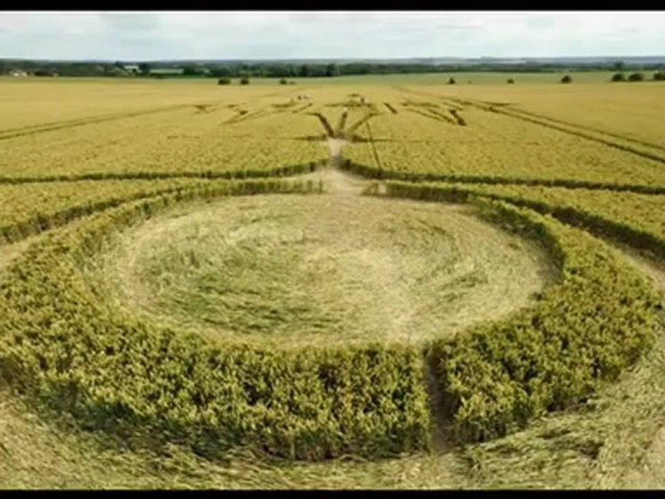 crop circle. Wilthsire 17. 07.2012