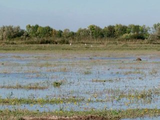 Film : SERIE - EPICERIE FINE - LE RIZ DE CAMARGUE