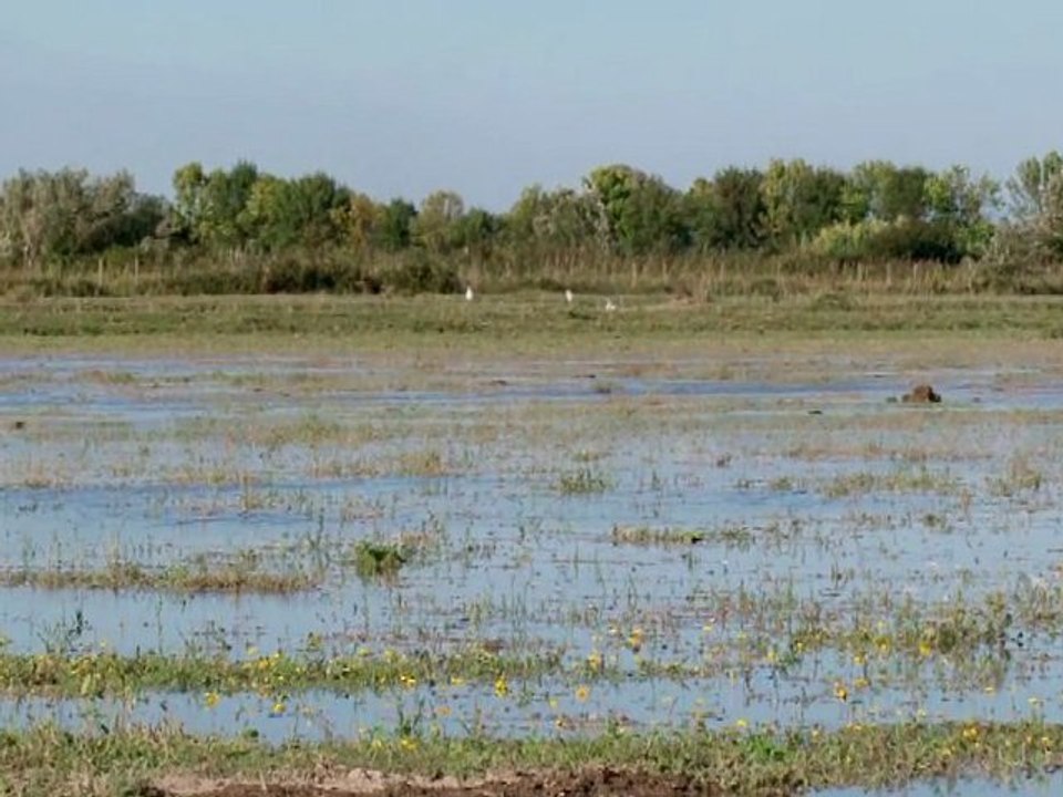 Film : SERIE - EPICERIE FINE - LE RIZ DE CAMARGUE