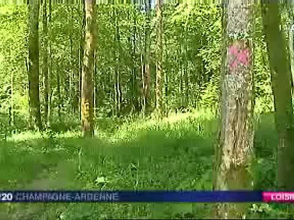 Randonnée : la clé des champs ardennais