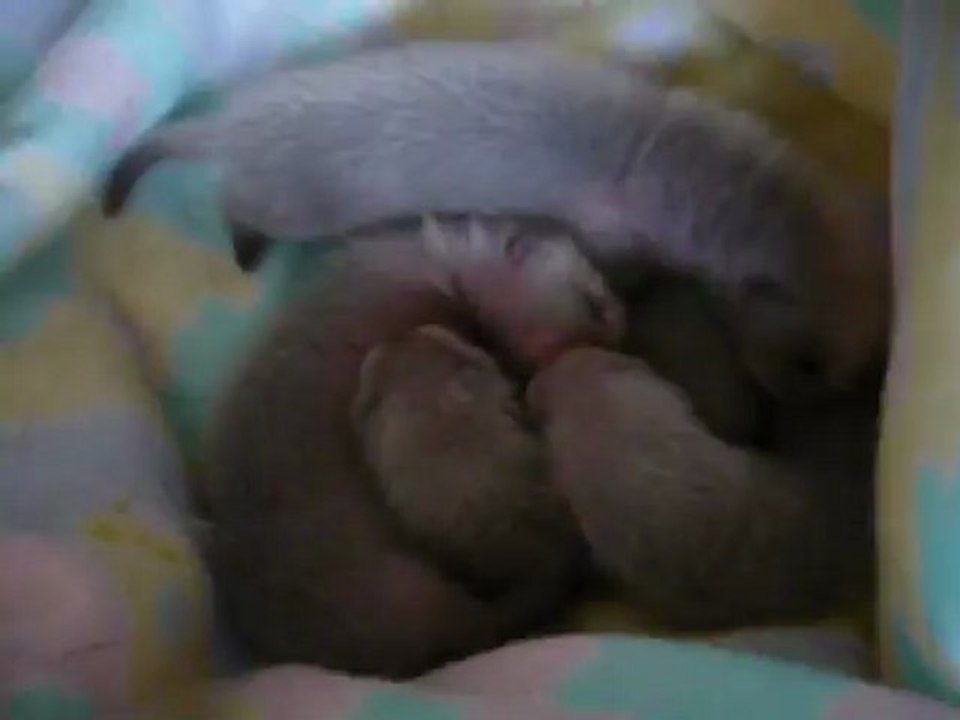 Bébé d Inaya et Kenjy