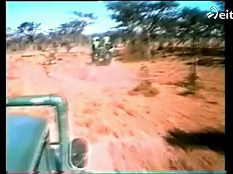 Cine: La misteriosa muerte de William Holden