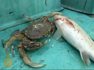 Fukushima guilty of world's worst sea contamination
