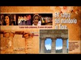 SICILIA TV (Favara) Strano scambia il Tempio di Segesta con il Tempio Concordia