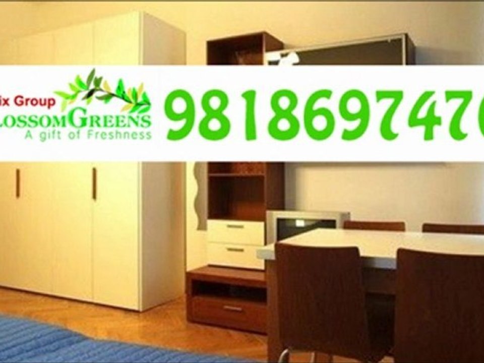 9818697476 logix blossom greens sector 143
