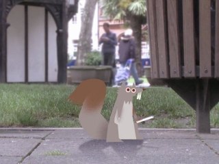 La flamme olympique relayée par des animaux