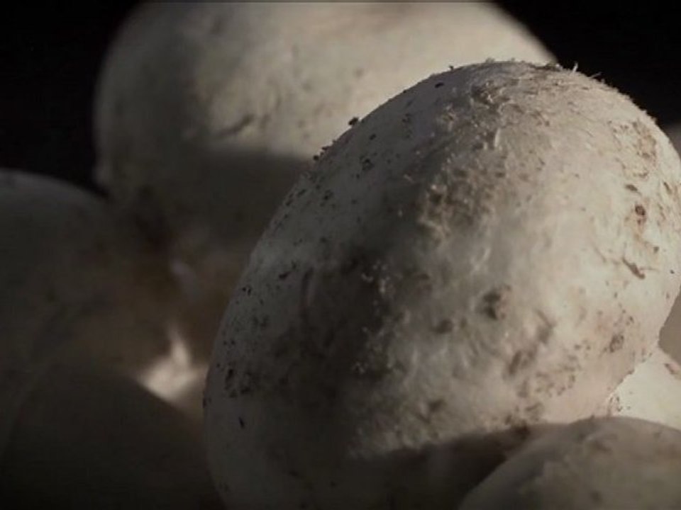 Film : SERIE - EPICERIE FINE - LES CHAMPIGNONS DE PARIS