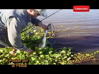 pasion por la pesca 21/06/2012 parte 2
