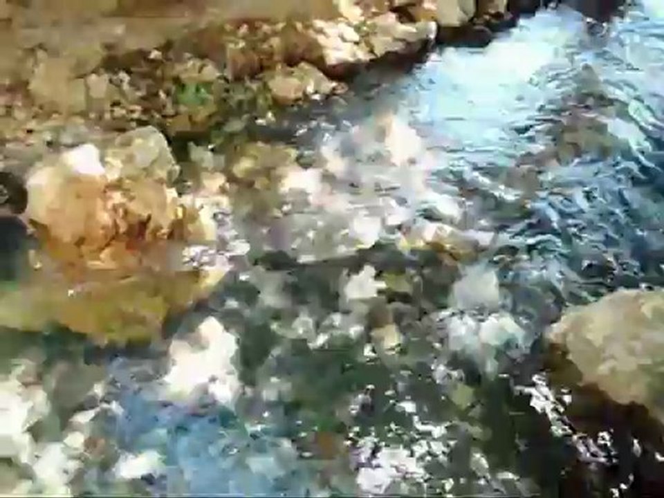 ÇOĞURUK.KÖYÜ 2012