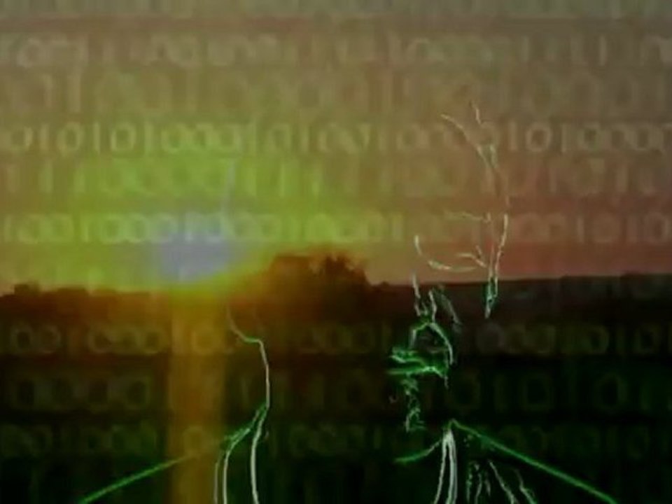 SHED - Ordinary Binary Man