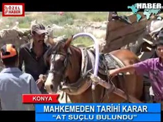 KONYA MAHKEME SUÇLU AT DEDİ