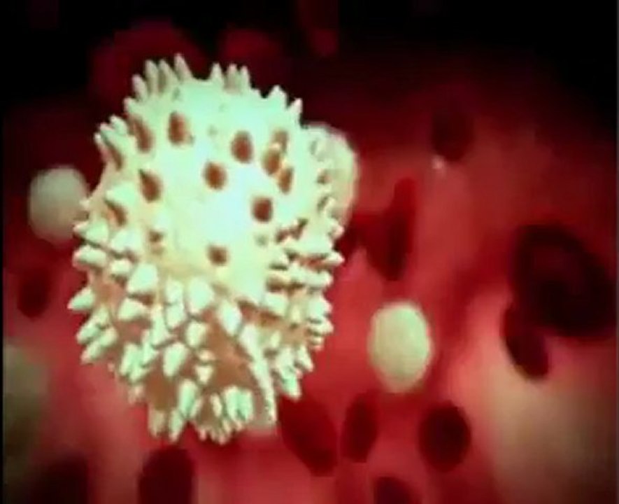 Anémie,version en arabe,Dr AMINE A., casablanca