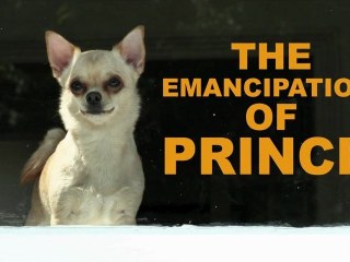 The Emancipation of Prince - a short film directed by Gavin O'Grady