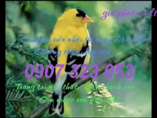 Xử lí, chống thấm tại quận 4 call 0936 890 585