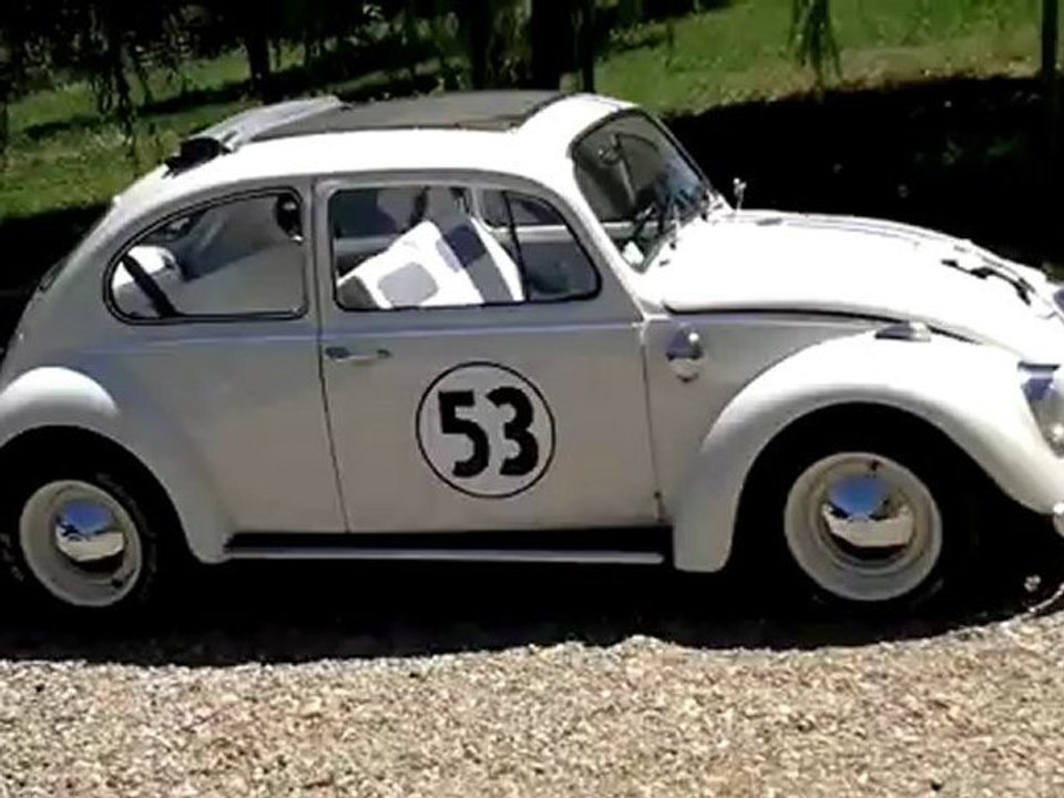 choupette, herbie, cox, coccinelle, vw
