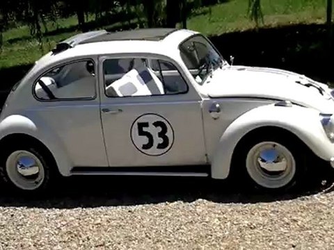 choupette, herbie, cox, coccinelle, vw