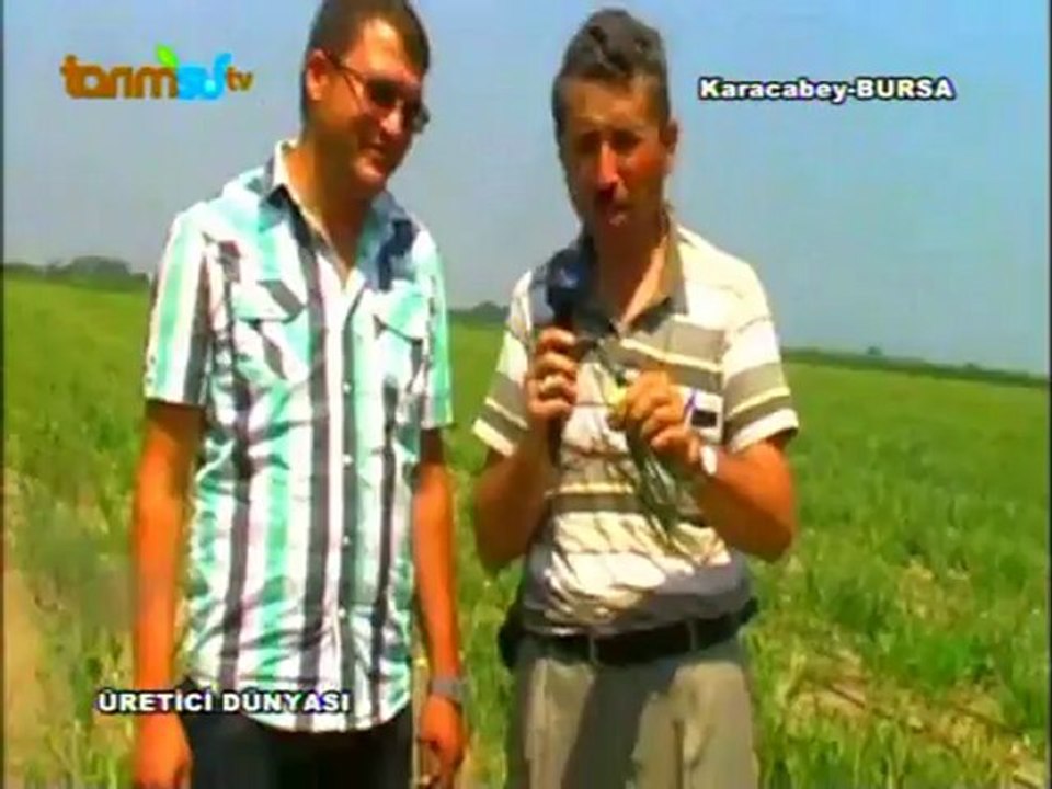 karacabey-soğanı-vahamata-tarımsıtv-keşiftv