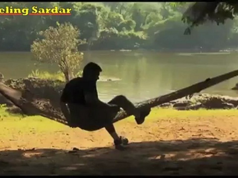 Jungle Lodges and Resorts