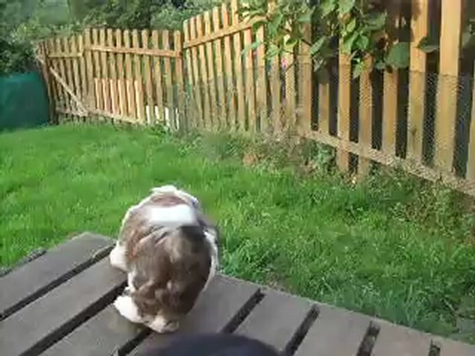 c'est chouette dehors