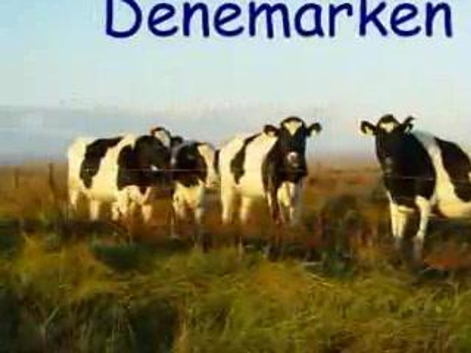 impressie Denemarken