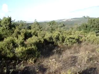 SATILIK ARAZİ KOCAELİ