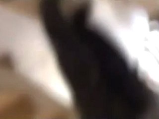 Syria فري برس حلب حريتان 23 7 2012 Aleppo