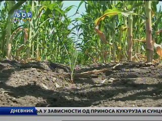 Dnevnik, 25. jul 2012.