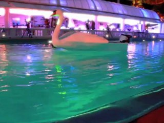 International Talent Agency for your events worldwide