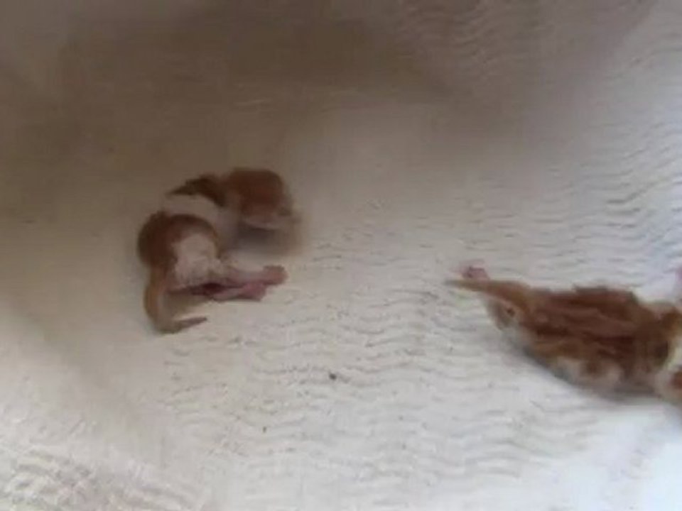 New babies born 20-07-12