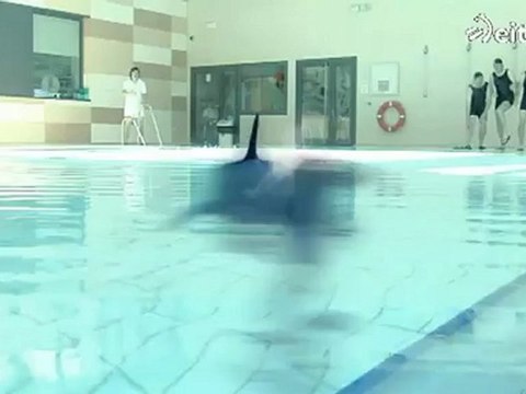 Al Rescate - La broma del equipo de natación