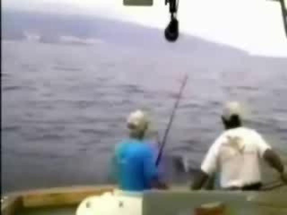 le jeune homme et la mer lol