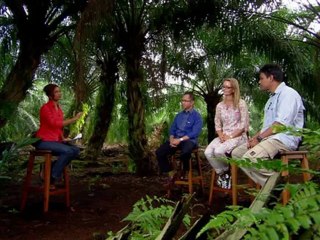 101 East - The price of palm oil