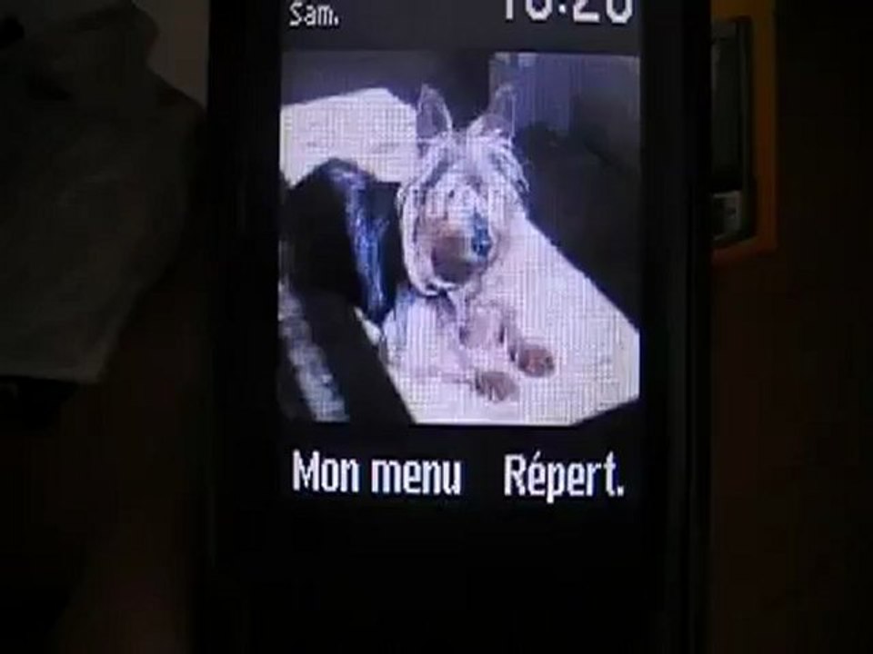 Déballage dun samsung C3050