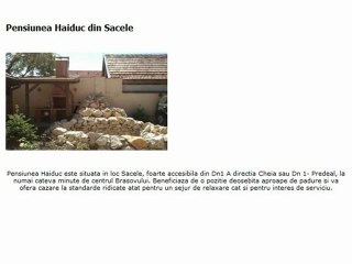 Pensiunea Haiduc din Sacele
